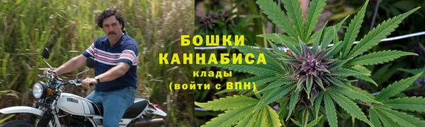 марки lsd Белокуриха